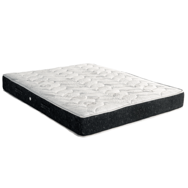 E08-Elegant-cool-max-extra-plus-PhotoRoom E08-Elegant-cool-max-extra-plus