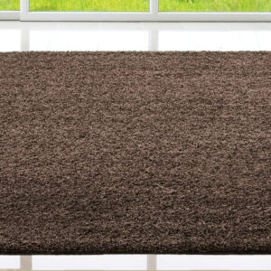 763 FIJI 02 EBONY RUG ROOM