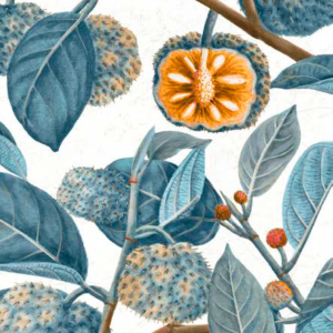 Ύφασμα Λονέτα Half Panama Texas Digital Print 100% Cotton 200gsm Φάρ 280εκ - Image 3